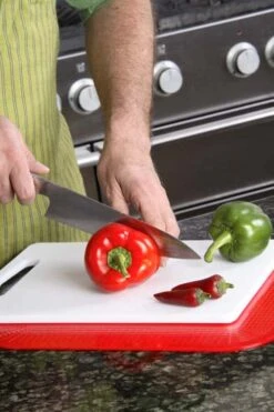 Non-slip Plade 35×25 Cm – Fl. Farver -Danish Care Supply dycem 35x25 roed